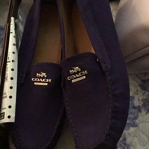 Coach Nancy Nubuck flats